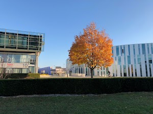 Hochschule der Medien