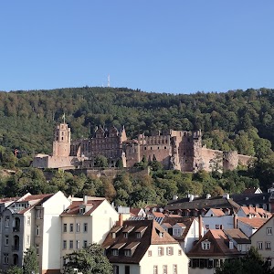 Wohnmobilstellplatz Heidelberg
