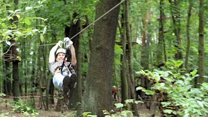 CLIMB UP - Kletterwald in Hennigsdorf