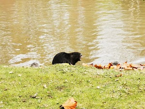 Freizeitpark Niederzier