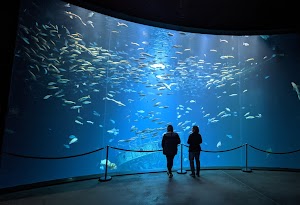 OZEANEUM